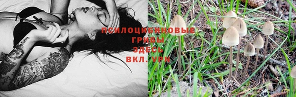 ECSTASY Киренск