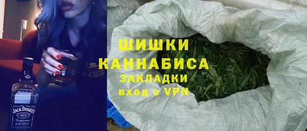 сатива Кинешма