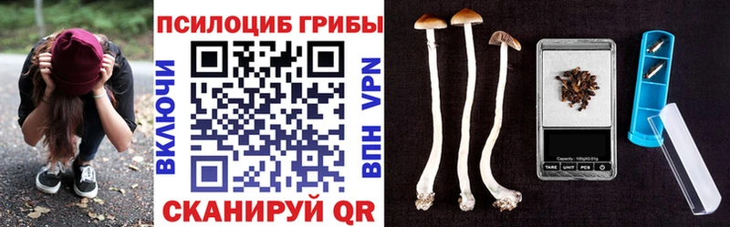 Галлюциногенные грибы мицелий  Купить  Енисейск 